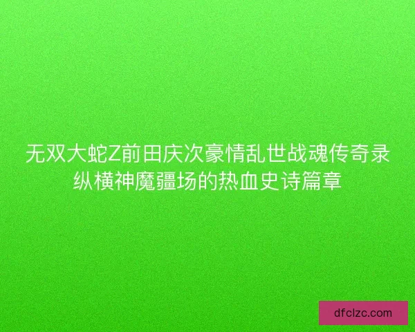 无双大蛇Z前田庆次豪情乱世战魂传奇录纵横神魔疆场的热血史诗篇章