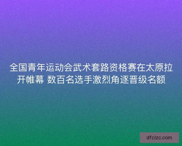 全国青年运动会武术套路资格赛在太原拉开帷幕 数百名选手激烈角逐晋级名额