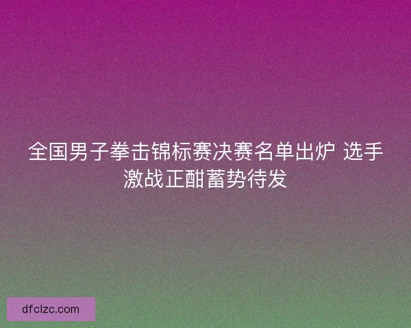 全国男子拳击锦标赛决赛名单出炉 选手激战正酣蓄势待发
