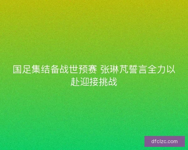 国足集结备战世预赛 张琳芃誓言全力以赴迎接挑战 国足集结备战世预赛 张琳芃誓言全力以赴迎接挑战